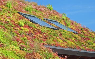 Backworth living roof systems